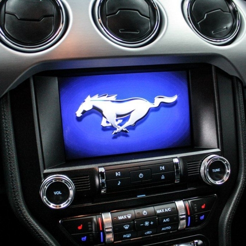 Ford Mustang 5.0 Black