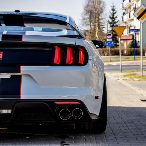 Ford Mustang Shelby Więcek