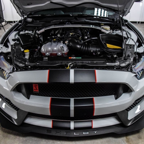 Ford Mustang Shelby Więcek