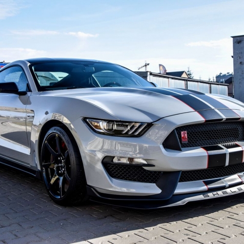 Ford Mustang Shelby Więcek