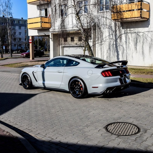 Ford Mustang Shelby Więcek