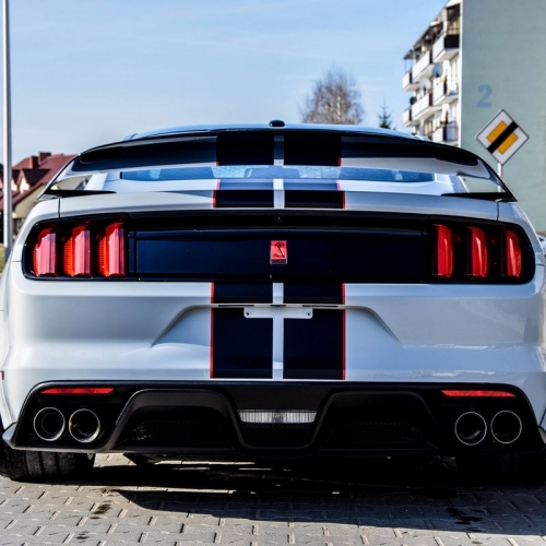 Ford Mustang Shelby Więcek