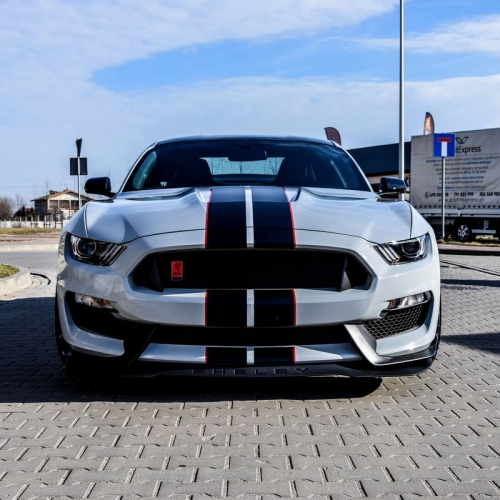 Ford Mustang Shelby Więcek